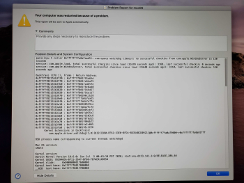 kernel panic watchdog timeout restart WindowServer.png