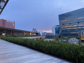 IMG_0046.jpeg