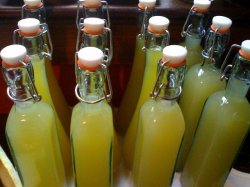 homemade_limoncello.JPG