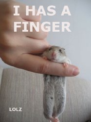 finger.jpg