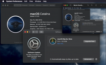 Catalina 10.15.6 Downloading Big Sur_Beta (20A5354i).png
