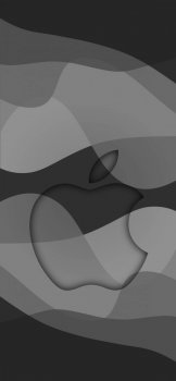6434B918-C448-49A8-87B9-C04C75A534DB.jpeg