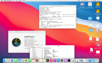 BigSur legacy usb opencore penryn kernel beta 9.png