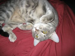 IMG_0257.jpg