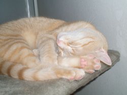 P1010015_2.jpg