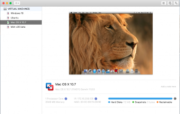 VMware Fusion 11.5.6 - Lion.png