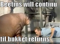 funny-pictures-bucket-walrus-beats-human1.jpg