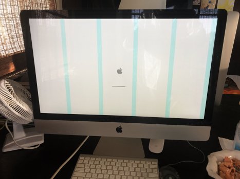 54D06F9E-0056-4DD1-9421-E358E066C16A.jpeg