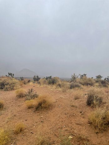 619494E9-6500-4205-90D7-F972C018B37B.jpeg
