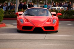 Ferrari Enzo.jpg