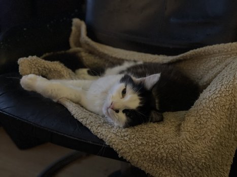 915D0043-9728-481B-A059-6838D7F66E80.jpeg