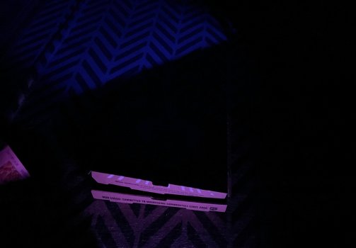 4E3B6320-F310-4E0C-927C-F984E57AA639.jpeg