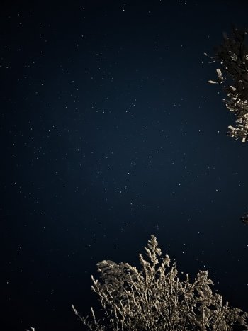 9C692203-D52D-48BE-8D32-72A34AE3A324.jpeg