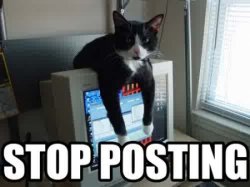 lolcatsdotcomttbwex6me2ieahcu.jpg