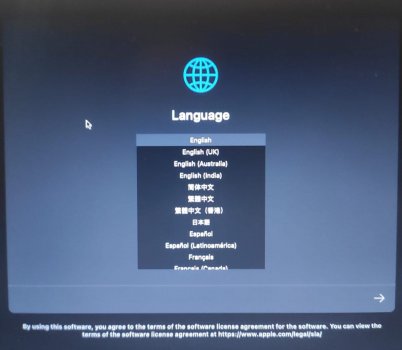 BigSur language selector.jpeg