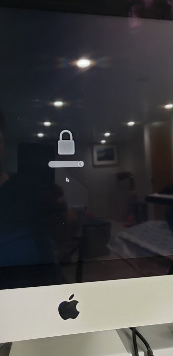 16074752191138296302929340934228.jpg