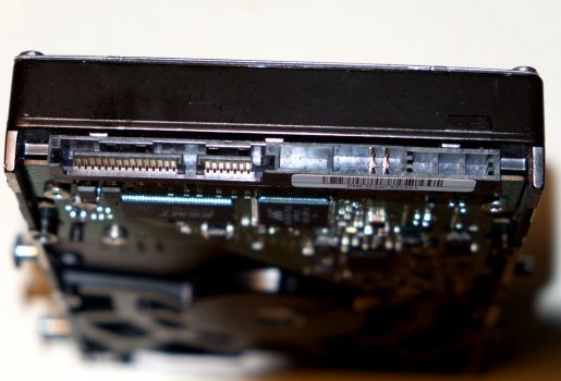 XE204668.jpg