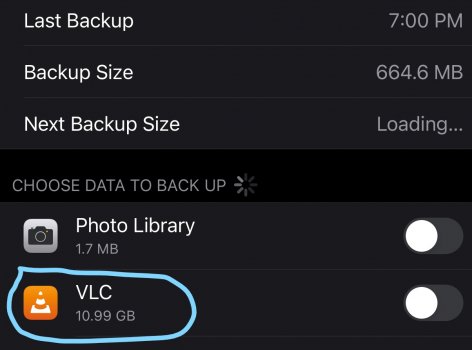 Exclude Files - iPhone Backup.jpg