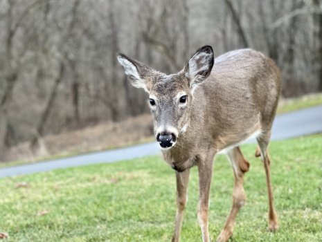 D3718550-8F73-478A-8F24-398C223105AB.jpeg