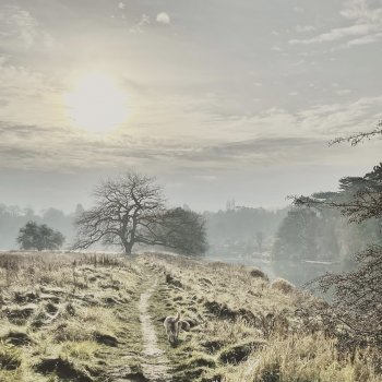 winter.jpeg