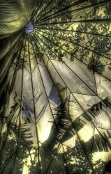 Parachute3_HDR.jpg