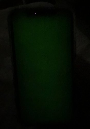 IMG_3342.jpeg
