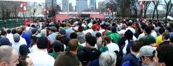 Shamrock2008.jpg