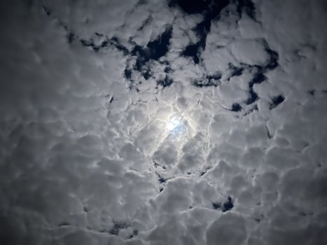 DD2025D0-4E90-47E7-9437-A09FCE5A1012.jpeg