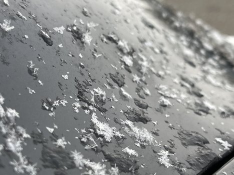 0F349796-5841-4D6F-A740-9EAA3A27875B.jpeg