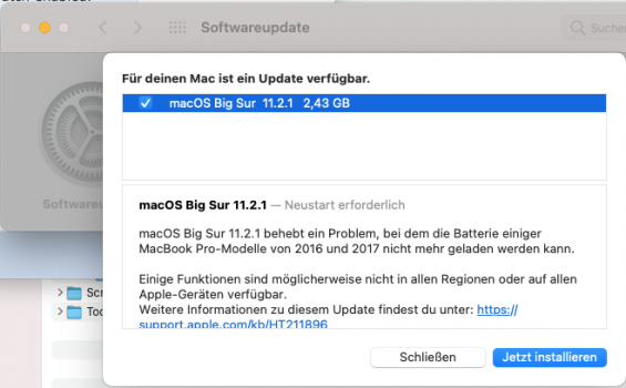 BigSur11.2.1 Update.png
