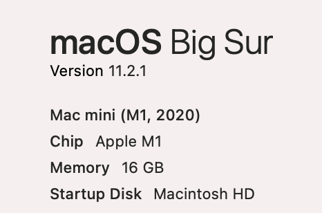 Screen Shot 2021-02-20 at 4.30.09 PM.png
