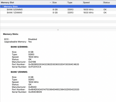 Screenshot 2021-02-23 at 10.20.19.png