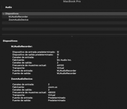 No hay tarjeta de sonido integrada en bigsur.png