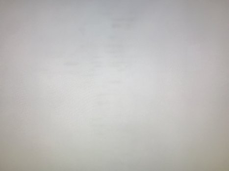 IMG_3382.jpeg
