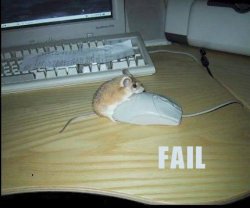 mouse-fail.jpg