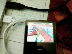 0303082242.jpg