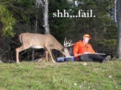 deerfail.jpg