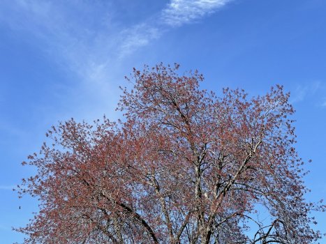 6D540B76-45A2-432F-B2B6-4BA1F05D1CC9.jpeg