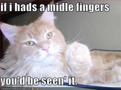 funny-pictures-cat-giving-finger.jpg