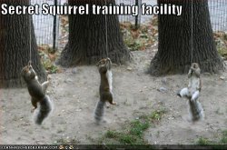 squirrel training.JPG