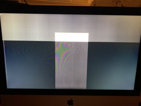 A5E1E893-0F09-45BE-B53B-51EA9AAF2C82.jpeg