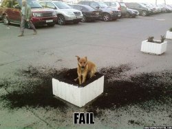 dog_dig_fail.jpg