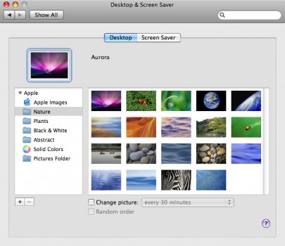 No transperency setting.jpg