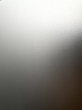 IMG_1073.jpeg