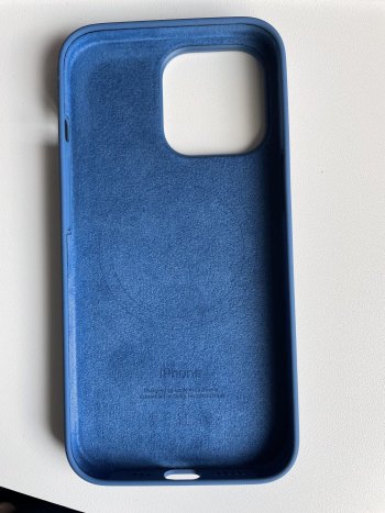 BlueJay_Front.jpg