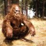 MoodySasquatch