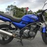 bandit9229