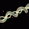 Polymerpouch