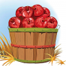 Bushel of Apples