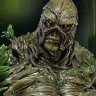 Guyfromtheswamp